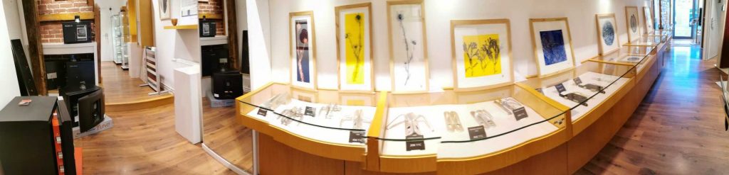 showroom vision panoramique 2